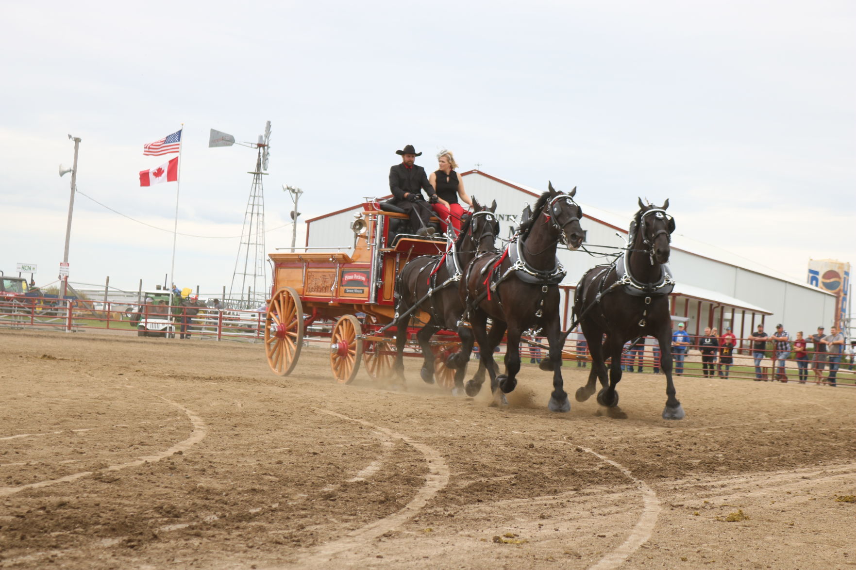 4-Horse Hitch 2
